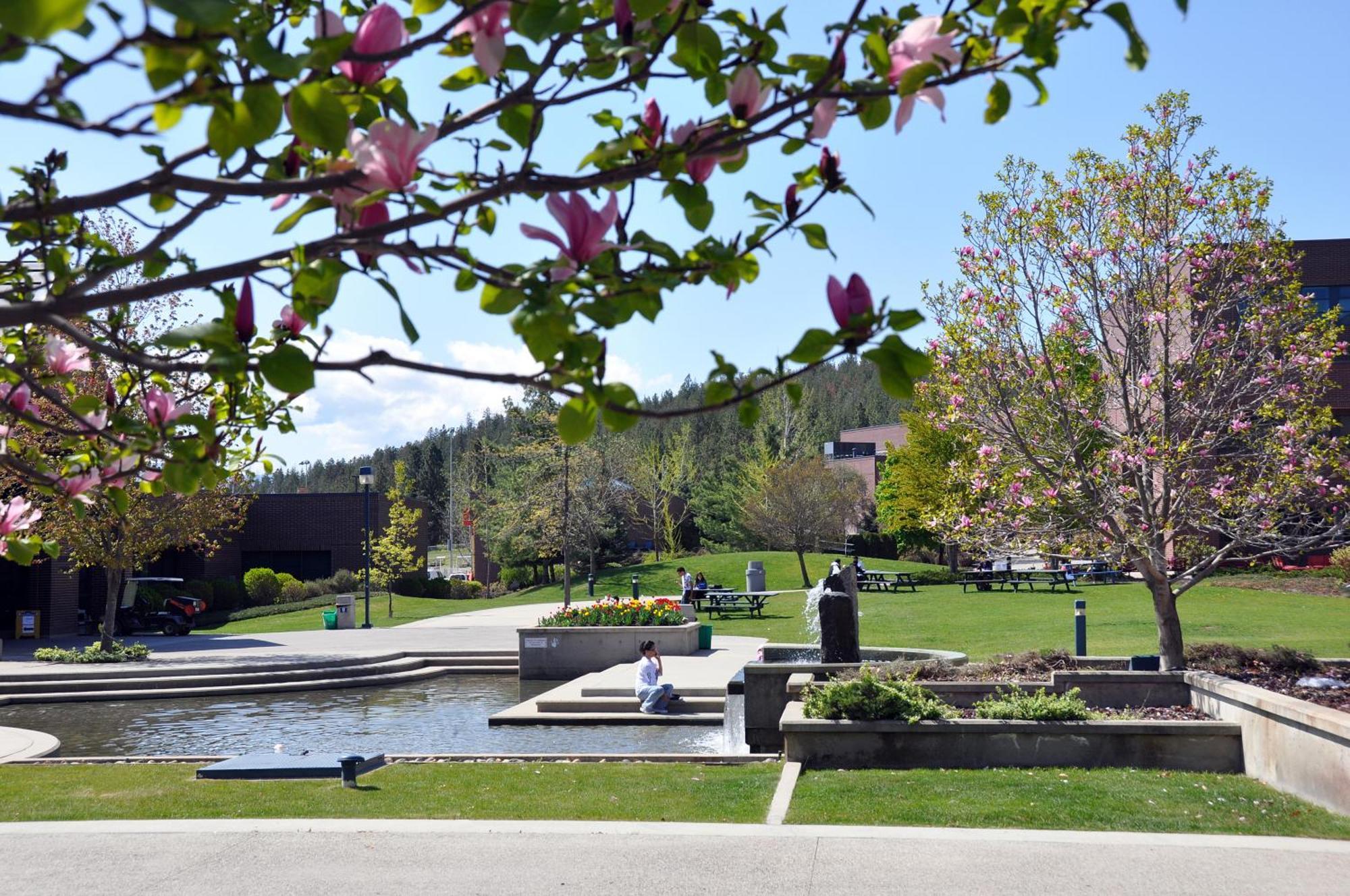 Ubc Okanagan Campus Kelowna Eksteriør bilde